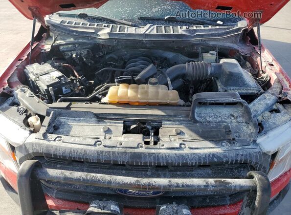 1FTFW1E50MKD02160 2021 FORD F150 Red Սալոնի հետևի տեսք