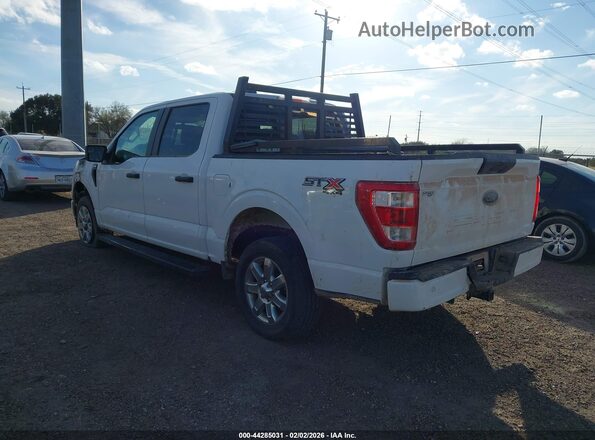 1FTFW1E53MFC48362 2021 FORD F150 White უკანა მარცხენა
