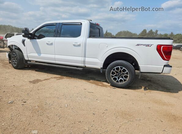 1FTFW1E55PKD54792 2023 FORD F150 White Задня ліва чверть