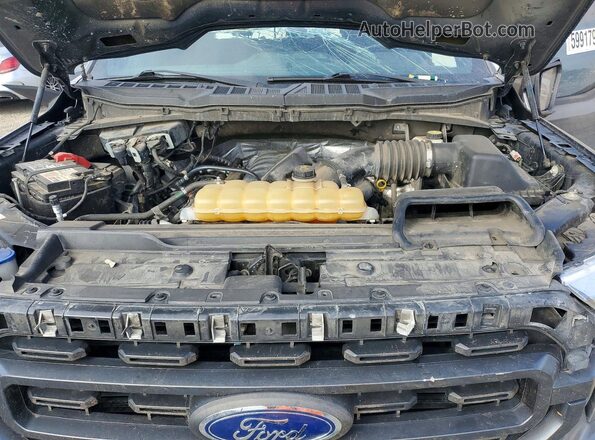 1FTFW1E56MFA41612 2021 FORD F150 Gray Vista interior trasera