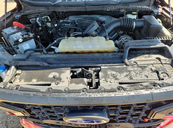 1FTFW1E56MFA61875 2021 FORD F150 Burgundy Вид задньої частини салону