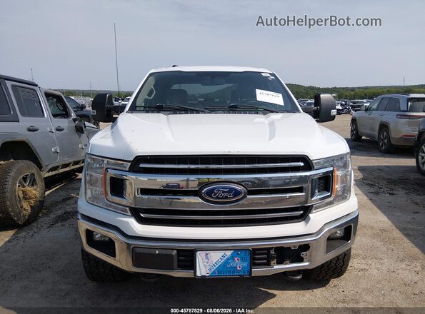 1FTFW1E5XJKF17542 2018 FORD F150 White Դիմացի տեսք