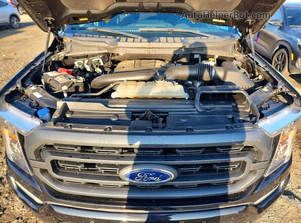 1FTFW1E80MFB59696 2021 FORD F150 Черный Вид задней части салона