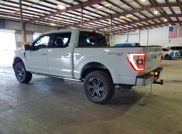 1FTFW1E81PFD22117 2023 FORD F150 Серый Задняя левая четверть