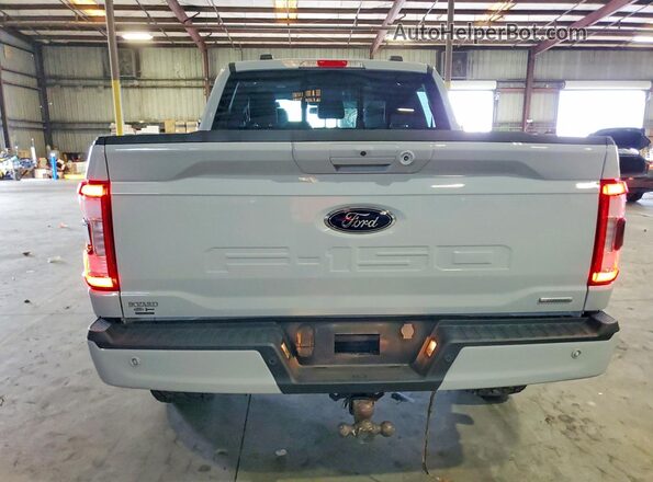 1FTFW1E81PFD22117 2023 FORD F150 Серый Вид сзади