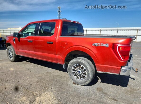 1FTFW1E81PKE69819 2023 FORD F150 Red უკანა მარცხენა