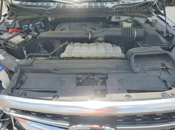 1FTFW1E82MFB12282 2021 FORD F150 White Вид задньої частини салону