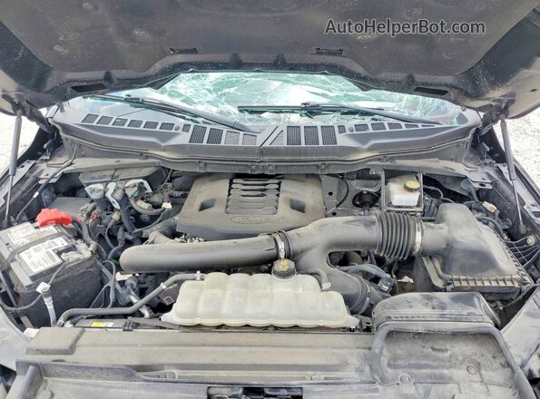 1FTFW1E82MFB96779 2021 FORD F150 Черный Вид задней части салона
