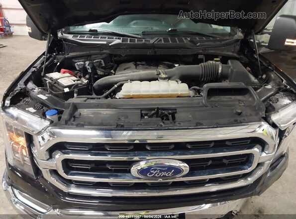 1FTFW1E84PFC32086 2023 FORD F150 Черный Вид сзади
