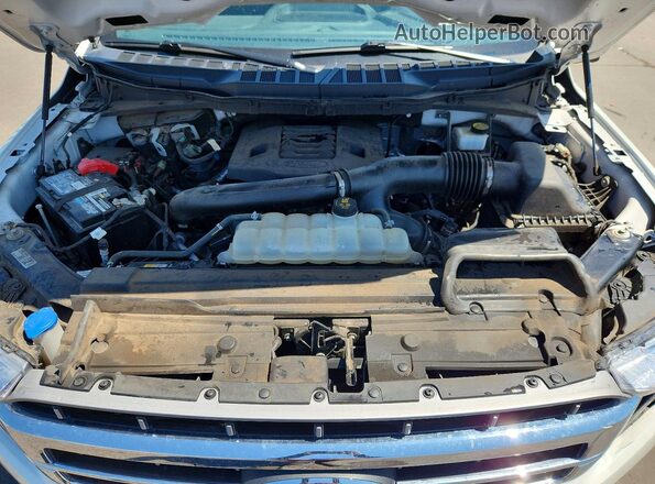 1FTFW1E85MFB54669 2021 FORD F150 Белый Вид задней части салона