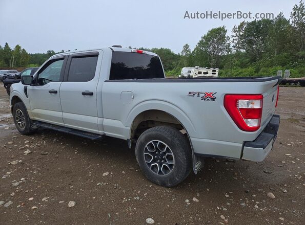 1FTFW1E89PFA66020 2023 FORD F150 Серый Задняя левая четверть