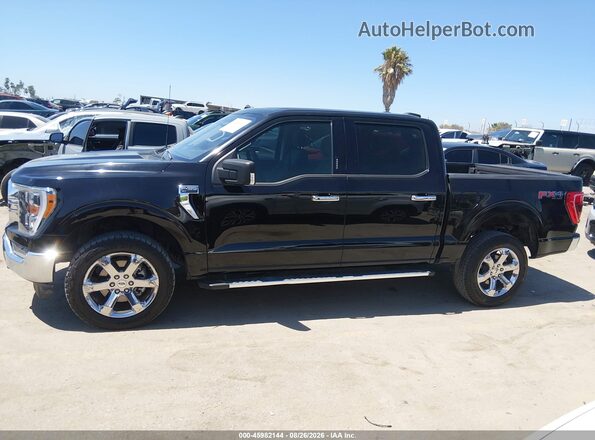 1FTFW1E89PKD68074 2023 FORD F150 Black Սալոնի 360 աստիճան տեսք
