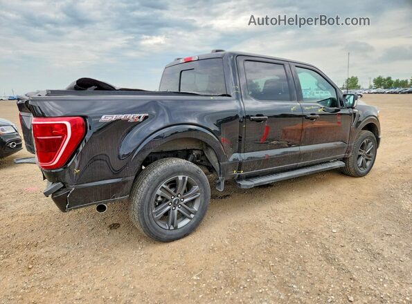 1FTFW1E89PKF64354 2023 FORD F150 Black Tył prawy