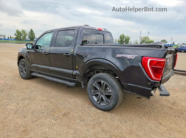 1FTFW1E89PKF64354 2023 FORD F150 Black Tył lewy