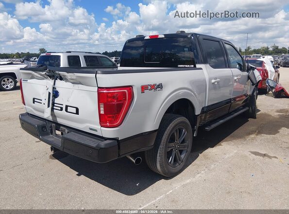 1FTFW1E89PKF87987 2023 FORD F150 Gray Tył prawy
