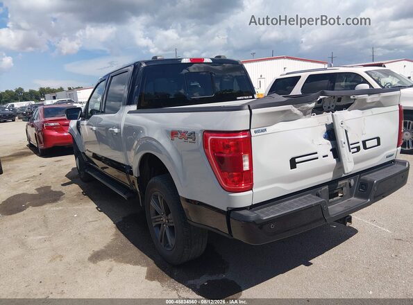 1FTFW1E89PKF87987 2023 FORD F150 Gray Tył lewy