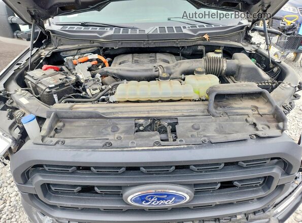 1FTFW1ED1MFC26934 2021 FORD F150 Brown უკანა სალონის ხედი