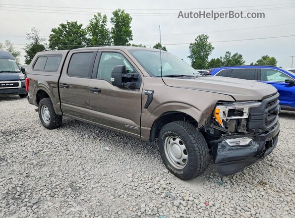 1FTFW1ED1MFC26934 2021 FORD F150 Brown წინა მარჯვენა