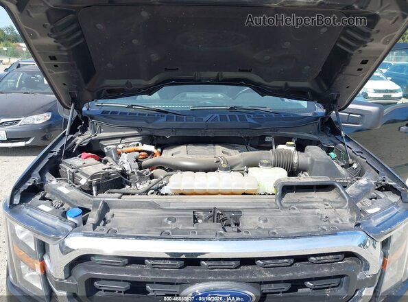 1FTFW1ED2PFB43372 2023 FORD F150 Black უკანა ხედი