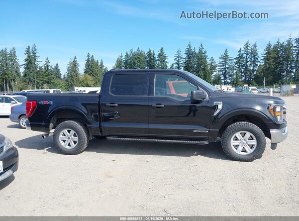 1FTFW1ED2PFB43372 2023 FORD F150 Black უკანა სალონის ხედი