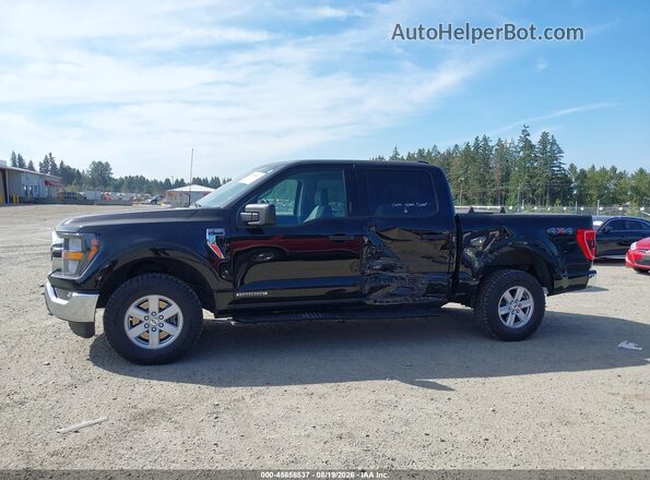 1FTFW1ED2PFB43372 2023 FORD F150 Black სალონის 360-გრადუსიანი ხედი