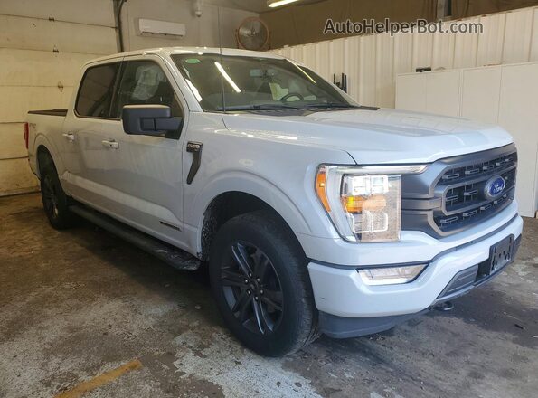 1FTFW1ED2PFC74916 2023 FORD F150 Silver Առջևի աջ