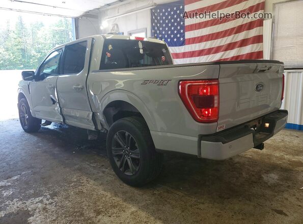 1FTFW1ED2PFC74916 2023 FORD F150 Silver Հետևի ձախ
