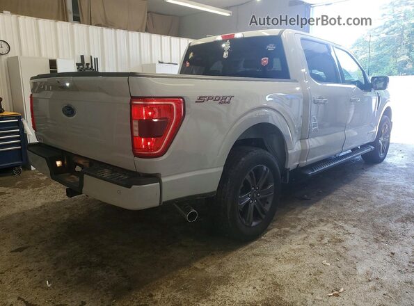 1FTFW1ED2PFC74916 2023 FORD F150 Silver Հետևի աջ
