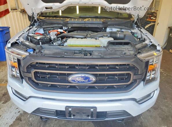 1FTFW1ED2PFC74916 2023 FORD F150 Silver Սալոնի հետևի տեսք