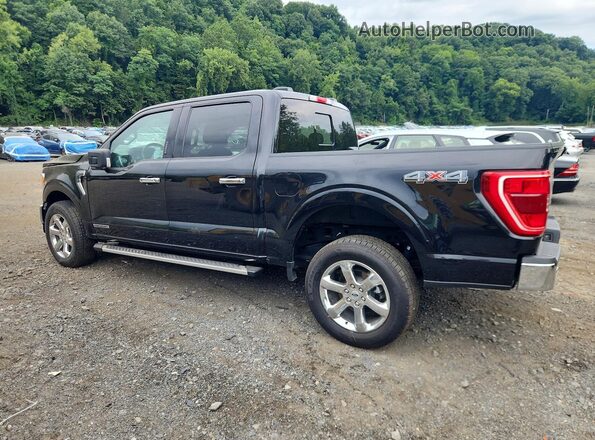 1FTFW1ED2PFD27842 2023 FORD F150 Черный Задняя левая четверть
