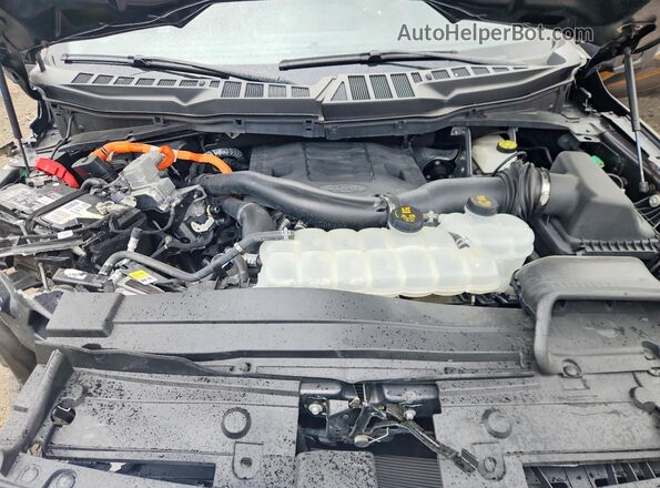1FTFW1ED2PFD27842 2023 FORD F150 Черный Вид задней части салона