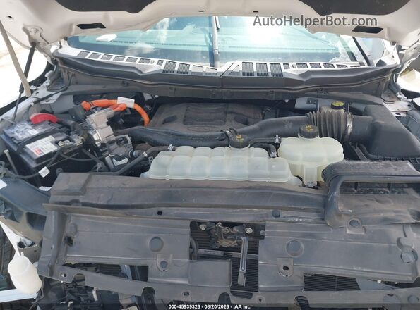 1FTFW1ED3MFB08058 2021 FORD F150 White Rear view