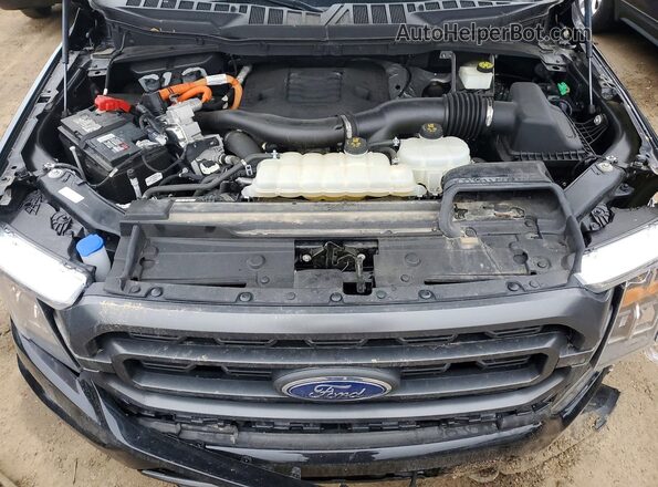 1FTFW1ED3PFA96160 2023 FORD F150 Black Rear interior view