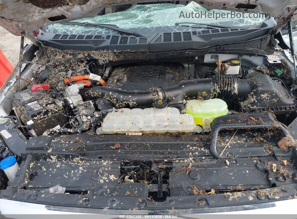 1FTFW1ED4PFD21248 2023 FORD F150 Серебряный Вид сзади