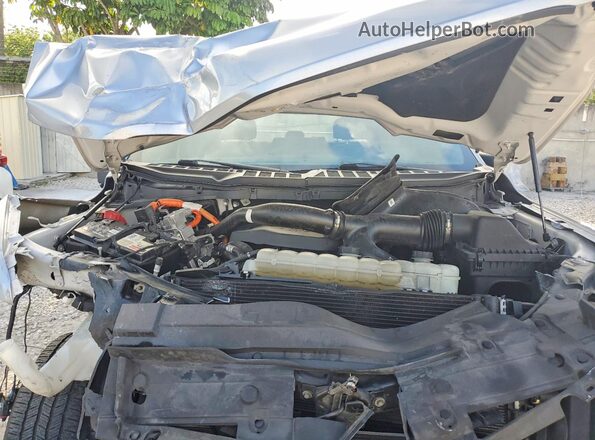 1FTFW1ED5MFB13987 2021 FORD F150 Silver Вид задньої частини салону