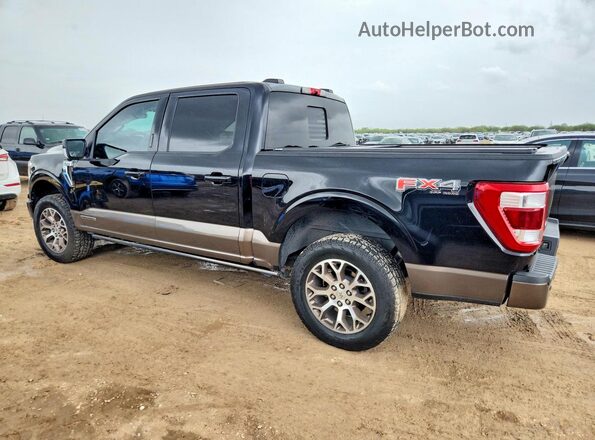 1FTFW1ED5PFA56100 2023 FORD F150 Gray Հետևի ձախ