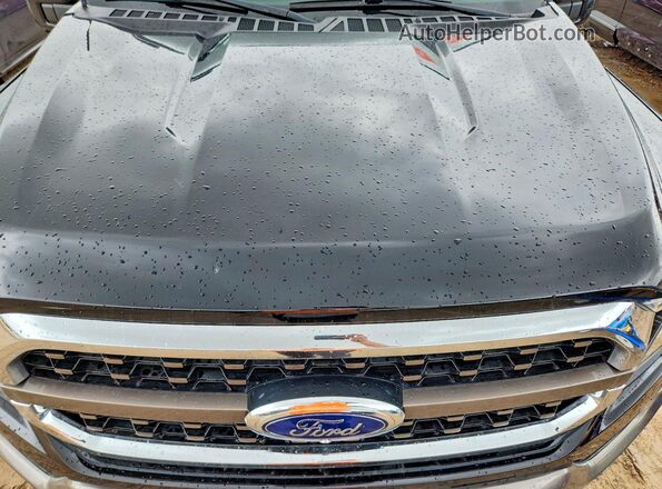 1FTFW1ED5PFA56100 2023 FORD F150 Gray Սալոնի հետևի տեսք