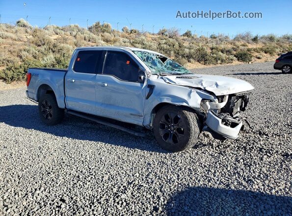 1FTFW1ED5PFD02613 2023 FORD F150 Gray Առջևի աջ