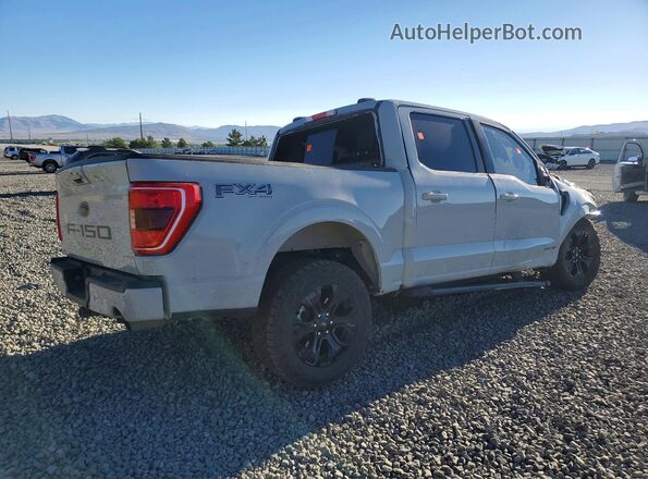 1FTFW1ED5PFD02613 2023 FORD F150 Gray Հետևի աջ