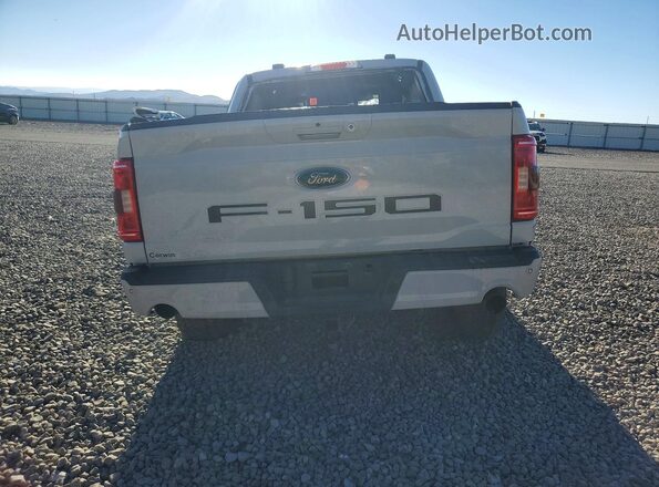 1FTFW1ED5PFD02613 2023 FORD F150 Gray Հետևի տեսք