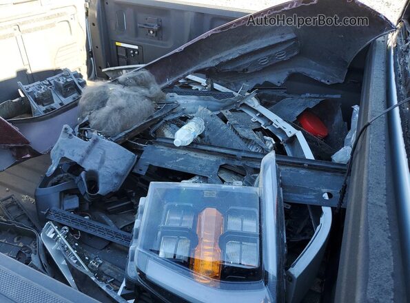 1FTFW1ED5PFD02613 2023 FORD F150 Gray Շարժիչի բաժամունքի տեսք
