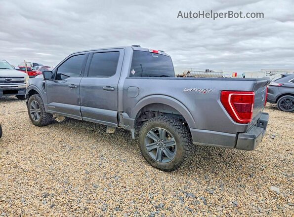 1FTFW1ED5PFD09559 2023 FORD F150 Gray Հետևի ձախ