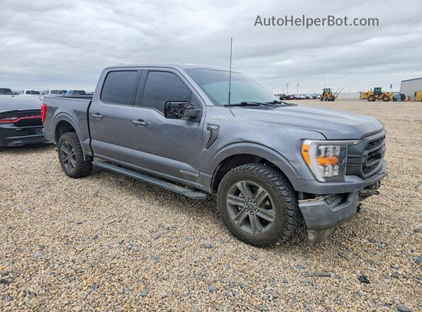 1FTFW1ED5PFD09559 2023 FORD F150 Gray Առջևի աջ