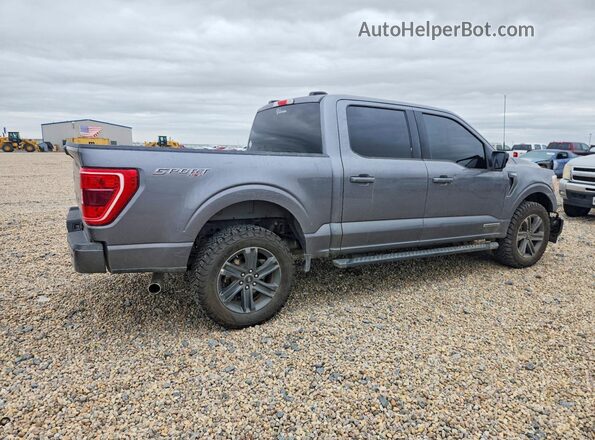 1FTFW1ED5PFD09559 2023 FORD F150 Gray Հետևի աջ