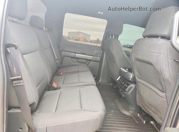 1FTFW1ED5PFD09559 2023 FORD F150 Gray Հետևի նստատեղերի տեսք