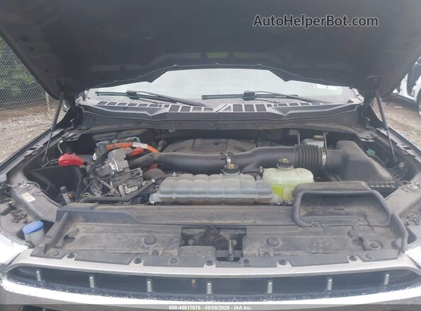 1FTFW1ED6MFB98564 2021 FORD F150 Синий Вид сзади