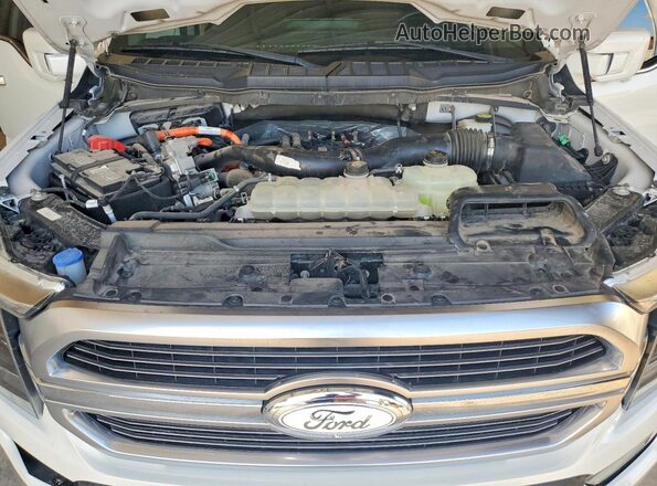 1FTFW1ED6MFC47830 2021 FORD F150 White უკანა სალონის ხედი