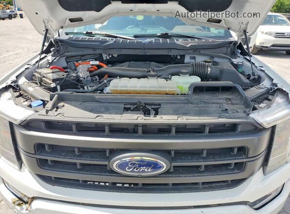 1FTFW1ED7PFD27237 2023 FORD F150 White Вид задньої частини салону