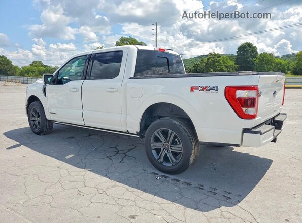 1FTFW1ED7PFD27237 2023 FORD F150 White Задня ліва чверть
