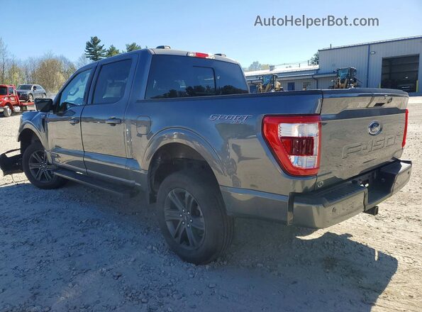 1FTFW1ED8PFA94503 2023 FORD F150 Gray Tył lewy